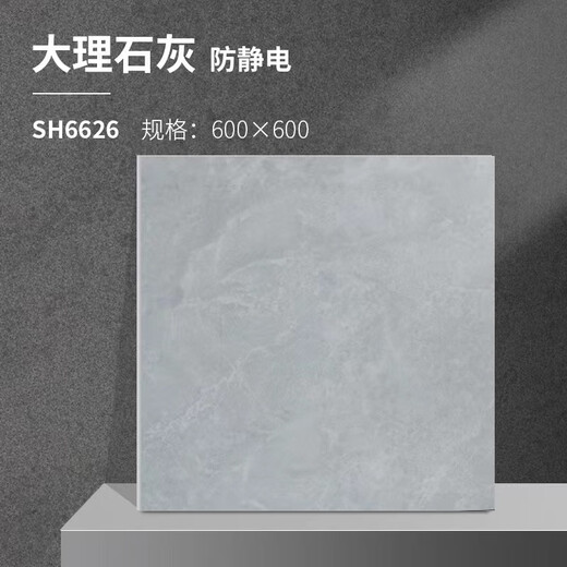 道诺防静电瓷砖 直铺式抗静电地砖600*600*10 （单位：片） 大理石灰6626