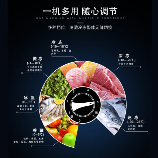 白雪（Baixue）白雪冷柜冰柜BD/C234T单温可转换冷冻冷藏顶开门冷柜卧式冰柜 341升1289*645*895金色3级能效