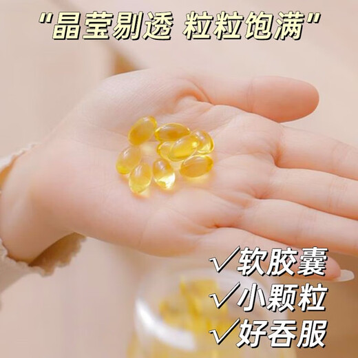 富元康灵芝孢子油软胶囊 破壁灵芝孢子粉萃取 增强免疫力 赤灵芝 高含量 【家庭囤货】100粒*24瓶