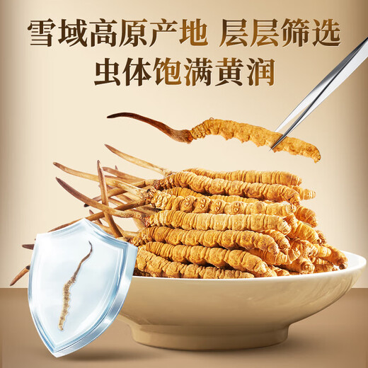 Tongrentang Brand Beijing Tongrentang Cordyceps Cordyceps Boîte-cadeau haut de gamme Nutritional Nutritional Offition cadeau Elders 1 Box 3G [Commande 1 Gram Cordyceps] Environ 5 pièces / gramme