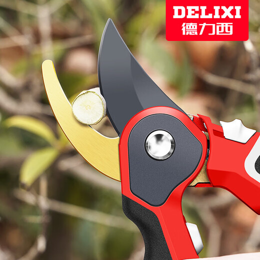 Delixi gardening scissors, labor-saving pruning shears, fruit tree pruning, garden branch pruning, flower shears, special scissors for branch cutting, Golden God of War, imported SK5 steel + free lanyard