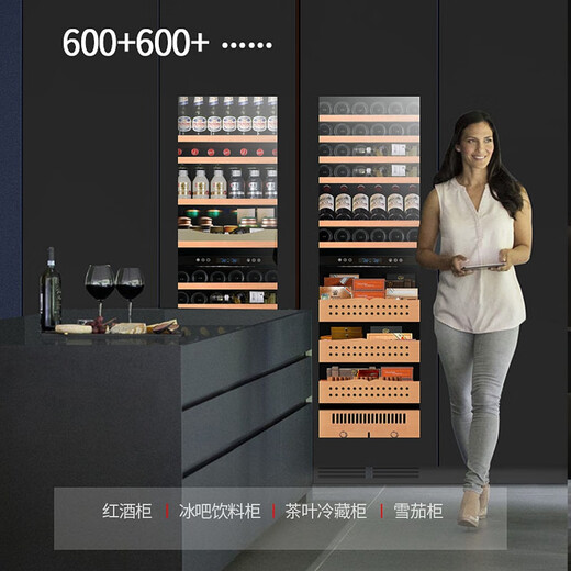 Gironde Embraco frequency conversion external door embedded red wine cabinet constant temperature wine cabinet tea beverage cabinet can be externally hung kitchen cabinet door seamless embedded installation home frequency conversion external door + multi-function dual temperature 109 bottles