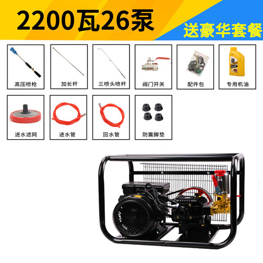 220V voltaic pesticide machine electric high voltage agricultural new style greenhouse high power orchard pesticide pump spray artifact 3000 watt 60 pump bare metal free of butter + 300 meters pipe