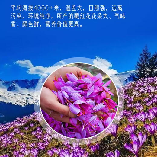 TYROSUR藏红花礼盒送长辈妈妈丈母娘美容养颜礼品礼物年货生日新年礼物 【藏红花】