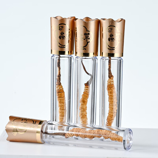 San Dikang Cordyceps sinensis, new dried Cordyceps nourishing gifts, gifts for elders, nutritional products, 3 sticks/gram, 60 sticks of crystal tube gift box