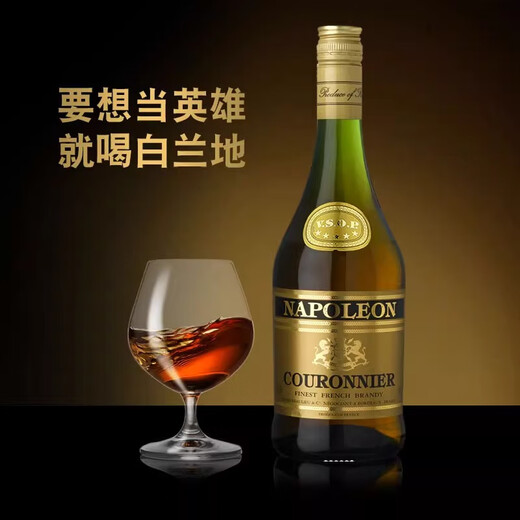 必得利Bardinet 口粮酒VSOP白兰地法国原瓶进口洋酒行货700ml 富豪白兰地 700mL 1瓶