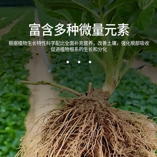 Devodo universal nutrient solution 500ml flower and green plant household flower fertilizer pothos fortune tree potted organic fertilizer