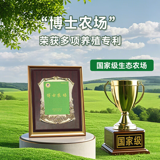 Pig Funon wird frisch getötet. Schweinbauch 450G-550G*2. 2. Insgesamt 2 wurden direkt von Chongming Island geschickt.