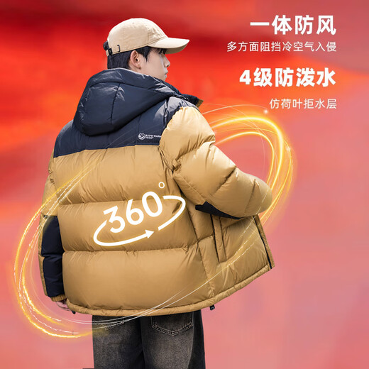 鸭鸭（YAYA）【255g充绒】羽绒服男短款加厚2025冬季新款时尚面包服保暖外套HG 黑色-YE4B008495W 【255g高充绒/男女同款】 XL