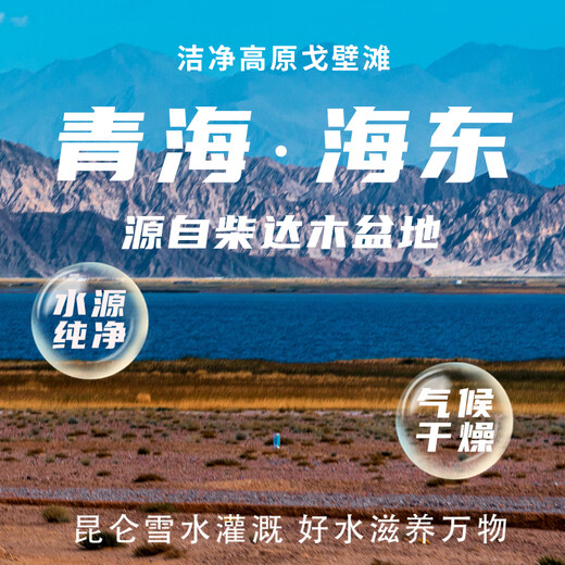 素养生活 有机黑枸杞80g 青海柴达木免洗黑枸杞子养生茶礼品