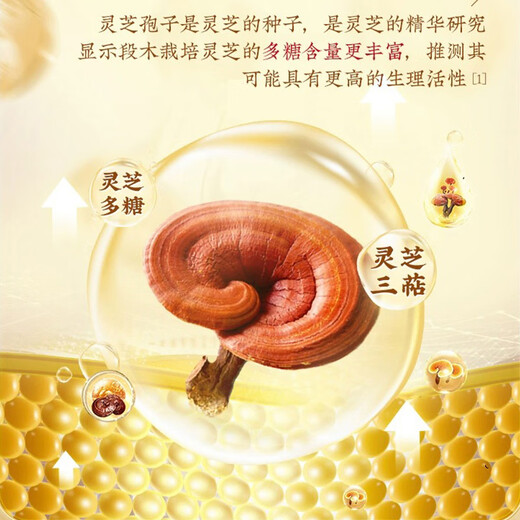 北京同仁堂灵芝孢子粉孢子粉破壁增强免疫力灵芝孢子粉中老年送长辈老人礼品 3盒周期装45天用量送礼袋