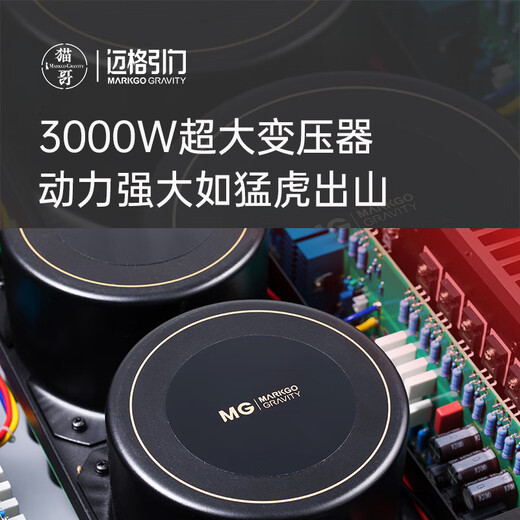 Meg Gravity Cat Ge pa101 FET A Kategorie A Hochleistungsmono HiFi -Fieber Heckverstärker PA101