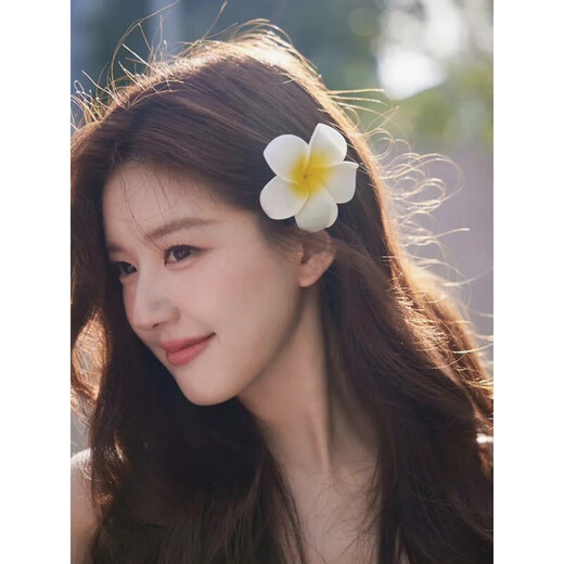 KZD Old Phoenix Teacher's Valentine's Day u-shaped flower hairpin hairpin hair artifact flower hairpin ancient style female style new Chinese style u-shaped flower hairpin random 15 pieces (blind box removed)