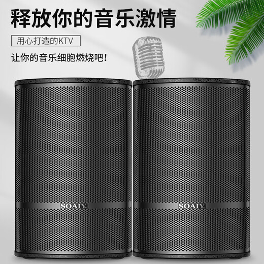 Soaiy CK-M39 set home theater ktv singing full set of equipment professional amplifier subwoofer home commercial conference equipment Bluetooth speaker
