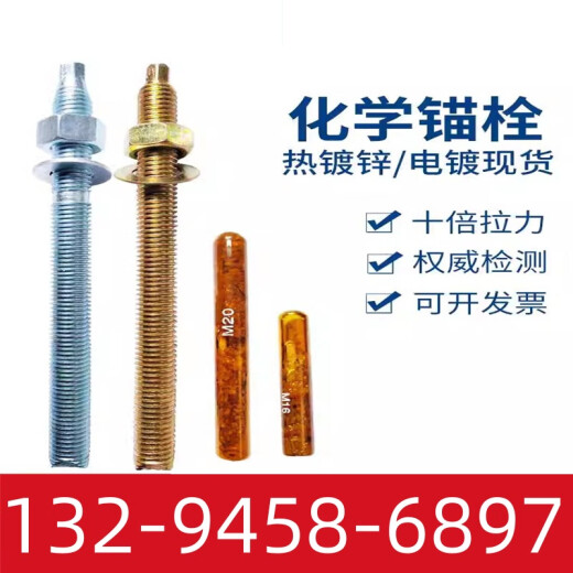 定制定制青海剂建筑锚固螺丝化学锚栓高强度加长化学螺栓m12m16m20m24 M12200（88级10套）含药剂