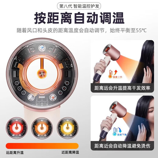 RASW German hair dryer household quiet and gentle negative ion high power does not hurt hair high-speed drying leafless hair dryer hair care dormitory baby pet ladies special portable business trip sunset rose single air nozzle intelligent temperature control new upgrade Chinese Valentine's Day gift for girlfriend and wife