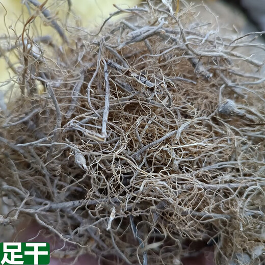 楠胜堂 三七根须云南文山中药材 三七粗根田七根 三七根须滋补营养泡酒 三年生三七根须500克