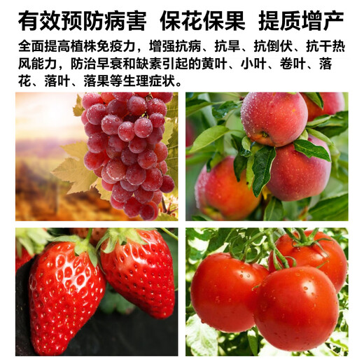 Green Xingda calcium magnesium boron zinc iron trace elements calcium iron zinc magnesium boron fertilizer to root and strengthen seedlings to preserve flowers and fruits organic foliar fertilizer seaweed calcium iron zinc magnesium boron 500g*1 bottle