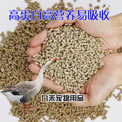 Yonghuan goose feed manufacturer wholesale 80Jin Jin is equal to 0.5kg. Feeding goose and goose opening feed, meat goose fattening and egg laying pellet full price feed. Large goose pellet feed only loses 999 portions of impulse. 100Jin Jin is equal to 0.5kg 50kg.