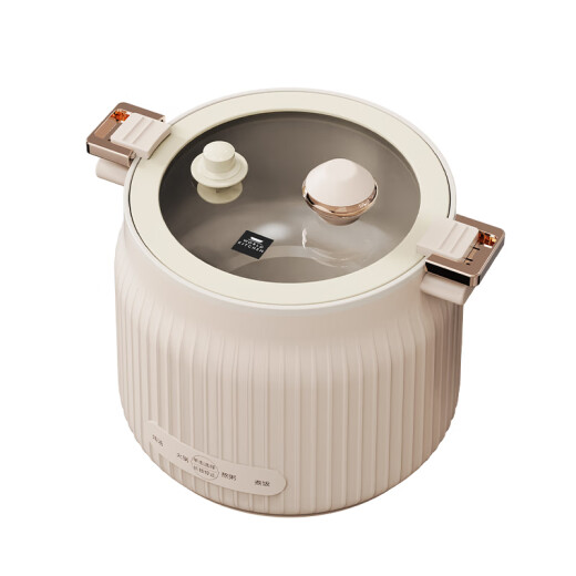 WorldKitchen micro-piezoelectric cooking pot WK-GZG1612/KZ