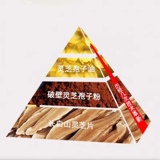 孢子油灵芝孢子油 长白山破壁灵芝孢子粉提取林芝袍子油60粒 1瓶【共60粒】