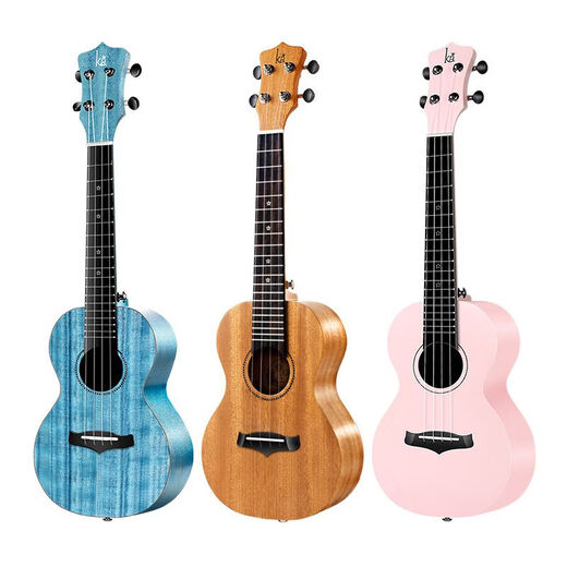 KAKA25D VÉNEER DÉBÉRARGE UKULELE ENFANTS MEN ET FEMMES ADULTANT