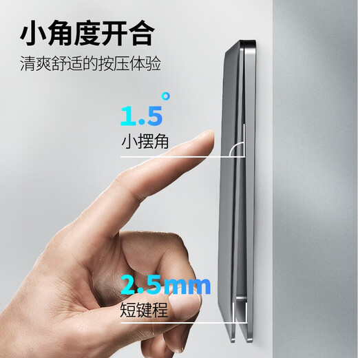 TEP国际电工超薄开关插座86型暗装磨砂灰色一开5五孔USB家用面板多孔电源插座 五孔插座(10A)（第一个看样价）