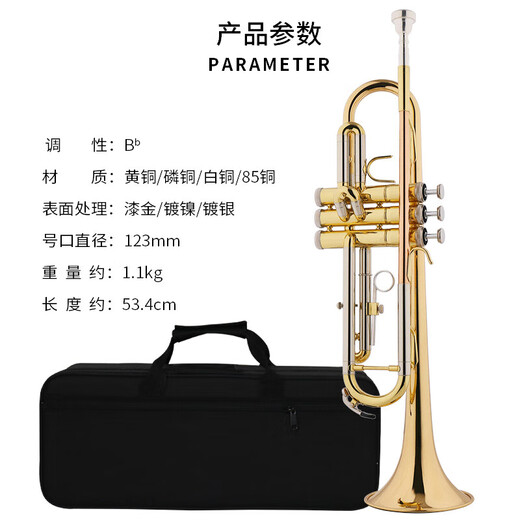 津宝小号乐器降B调JBTR-020小号磷铜吹嘴白铜变音管初学演奏考级教学