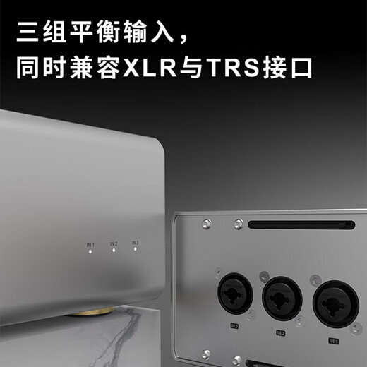 TOPPING拓品 B200 大功率单声道纯后级200W功放HiFi台式音箱功率放大器 B200黑色