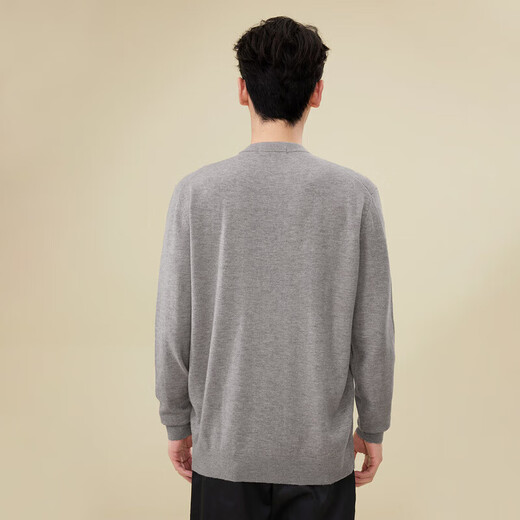 
HaiLan Home [Special Brand] Long-sleeved sweater for men's light business classic round neck pure wool sweater HNZAW3Y055A