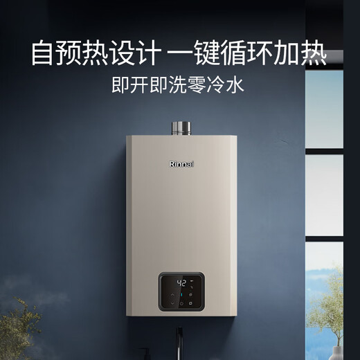 Rinnai Blue Whale 24L gas water heater, state subsidy, zero cold water, large water volume 24GD61R (JSQ47-GD61R)