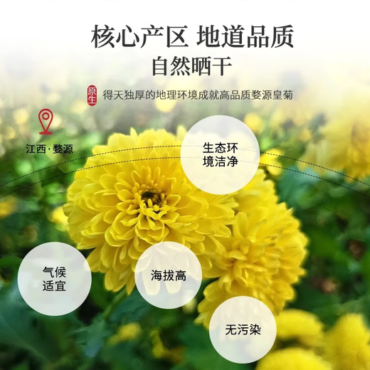 陈一凡 婺源皇菊30g 菊花茶金蕊皇菊贡菊搭枸杞金银花决明子花草茶茶叶