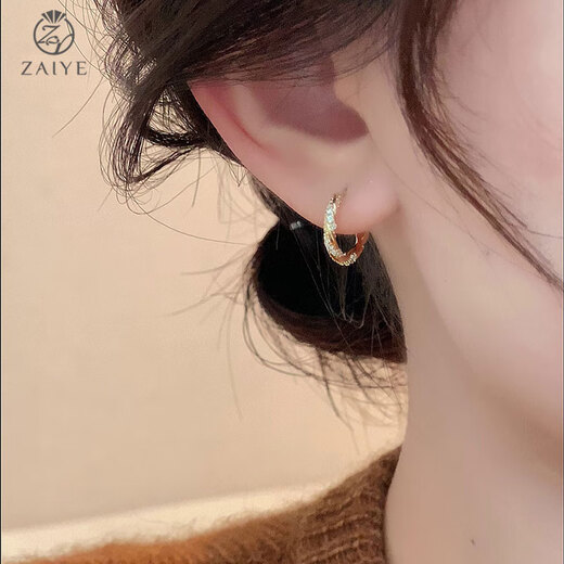 In the wild hoop earrings 2025 new trendy women unique niche unique light luxury high-end earrings simple autumn and winter earrings diamond small earrings gold