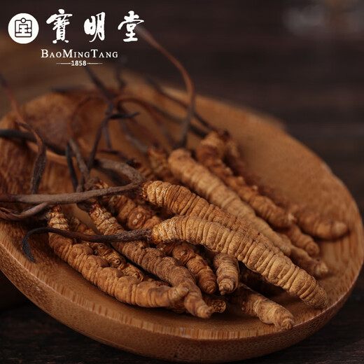 Baomingtang Cordyceps sinensis frisches Heu 1 Gramm volle Qualität ohne Gras ohne leeres Gras Geschenk Tonic für Selbstverwendung 1 g/Flasche