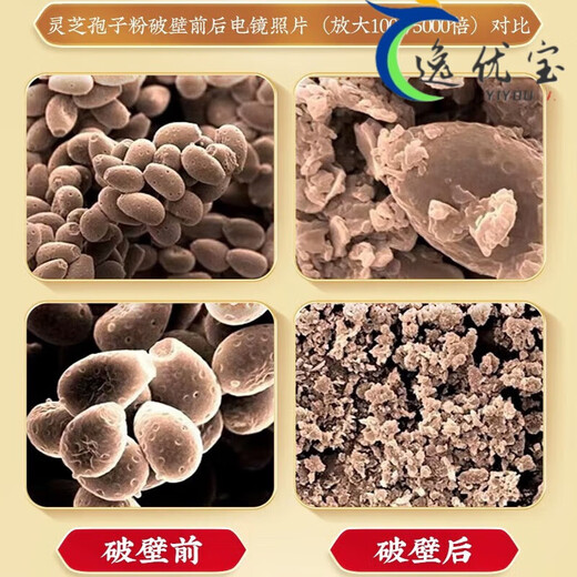 北京同仁堂破壁灵芝孢子粉礼盒装官方中老年过年送礼精选 玺洋特一牌 3盒装