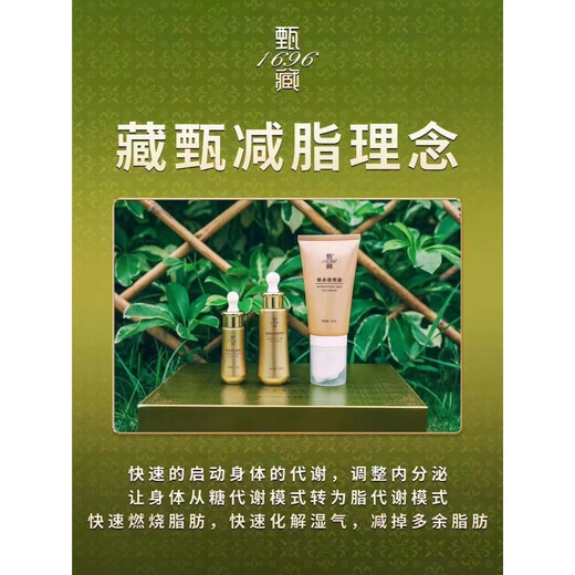 Zhenzang (1696) [OFFICIEL] CANGZhen 1696 Fibre à base
