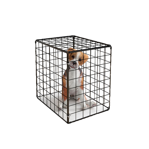 Cat Cage Home Super Large Free Space Cat Nest Dog Cage Puppy Cage Six Sides Portable Folding Pet Cage White 30*20*20cm 4Jin Jin is equal to about 0.5kg