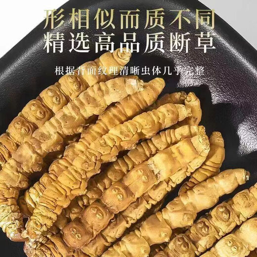 Eryabe [Official Store Special][Zhengpin] Authentic Cordyceps sinensis (Specifications 2-3 roots/gram) Buy more and get more. Zhenpin Cordyceps sinensis About 4 roots/gram 1 root price [Book more and get more and get more]