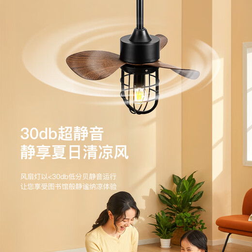 
Mingdenghui Restaurant Balcony Clothes Room Entrance Small Bedroom Inverter Frequency Home Fan Light American Industrial Style Small Ceiling Fan Light Frequency 22-693A Black 3 Leaf + Single-Head Remote Control