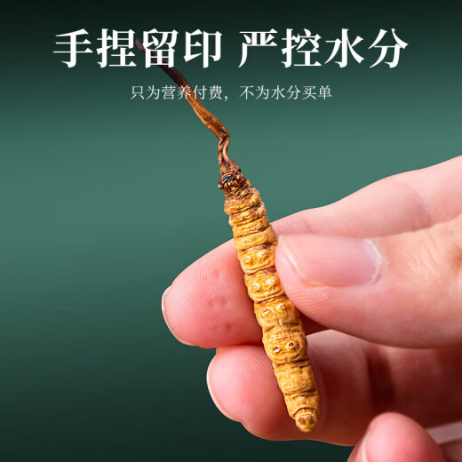 内廷上用【北京同仁堂10g黄金草】冬虫夏草10g约30-50根滋补品父亲节礼物