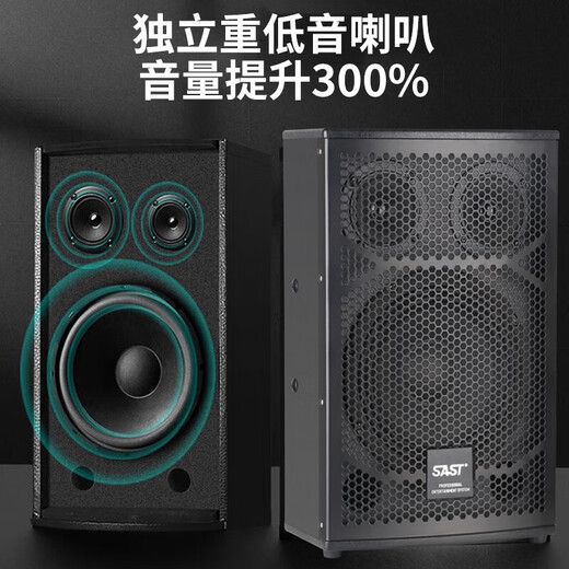 先科（SAST）会议室音响套装组合家庭KTV培训会议教室讲课专用设备蓝牙功放壁挂音箱无线话筒一拖四整套 套餐4(10寸音响2只+功放)