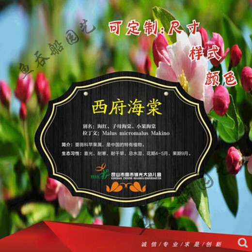 Customized tree sign stainless steel sign acrylic tree plant adoption sign adoption tree sign ground reminder flower sign custom quotation