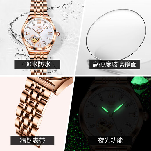 Olevs Swiss Certified Brand Watches für Frauen mechanische Uhren Vollautomatisch einfach