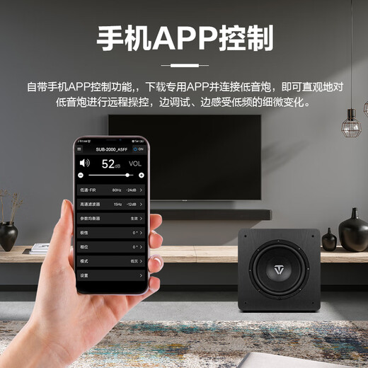 Tianyi (Winner) SUB-2000 high-power active subwoofer 12-inch speaker audio home theater stage bar special speaker SUB 2000