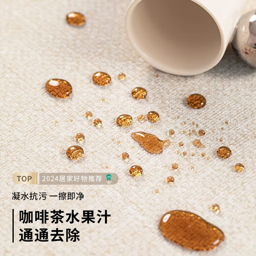 Y U-LIVE carpet living room bedroom 2025 new bedside no-wash and wipeable room high-end waterproof no-care sofa floor mat loop pile-Black Square Park-breathable style 200 300cm light and easy to carry and easy to store