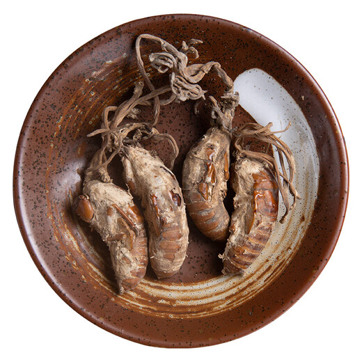 北京同仁堂原料中药饮片精选金蝉花中药材2023新货大虫草知了蝉花孢子粉草非500g克 金蝉花500g新货