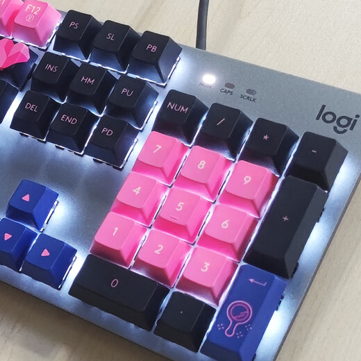 罗技（Logitech） K845机械键盘 有线键盘办公全尺寸键盘 电竞游戏发光键盘 吃鸡键盘 diy键帽 情人节礼物 K845【My makeup bag】-红轴