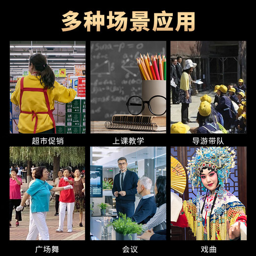 Philips (PHILIPS) SBM200 Little Bee loudspeaker portable card speaker conference speaker microphone speaker shouting teacher tour guide special teaching lecture outdoor compact mini white