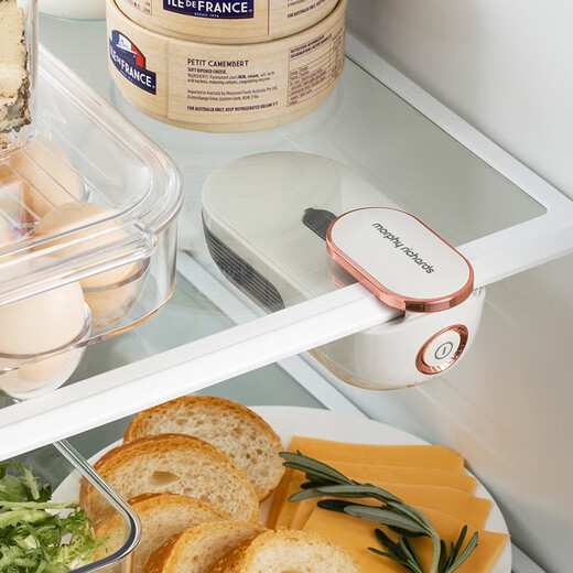 Morphy richards refrigerator deodorizer white MR2060