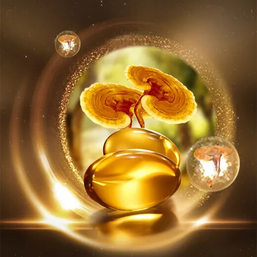 Cápsula blanda de aceite de esporas de Ganoderma seleccionado Extracto en polvo de esporas de Ganoderma Alto contenido especial Certificado Blue Hat Alto contenido 4 botellas 120 cápsulas